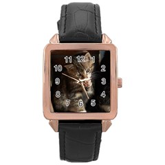 Talk To The Paw Rose Gold Watches by trendistuff