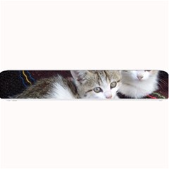 Kitty Twins Small Bar Mats by trendistuff