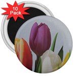 Tulips 3  Magnets (10 pack)  Front