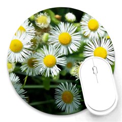 White Summer Flowers Oil Painting Art Round Mousepads by picsaspassion