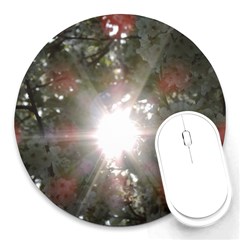 Sun Rays Through White Cherry Blossoms Round Mousepads by picsaspassion