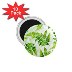 Fern Leaves 1 75  Magnets (10 Pack)  by DanaeStudio