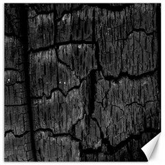 Coal Charred Tree Pore Black Canvas 12  X 12   by Amaryn4rt