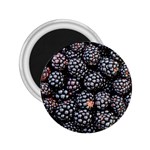 Blackberries Background Black Dark 2.25  Magnets Front