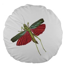 Grasshopper Insect Animal Isolated Large 18  Premium Round Cushions by Nexatart