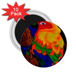 Parakeet Colorful Bird Animal 2.25  Magnets (10 pack)  Front