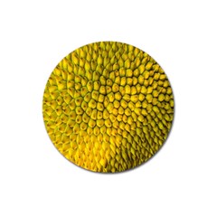 Jack Shell Jack Fruit Close Magnet 3  (round) by Amaryn4rt