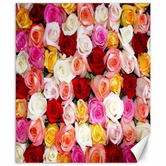 Rose Color Beautiful Flowers Canvas 8  X 10  by Amaryn4rt