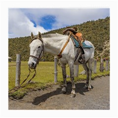 White Horse Tied Up At Cotopaxi National Park Ecuador Medium Glasses Cloth (2-side) by dflcprints