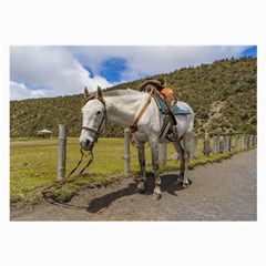 White Horse Tied Up At Cotopaxi National Park Ecuador Large Glasses Cloth by dflcprints