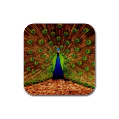 3d Peacock Bird Rubber Square Coaster (4 Pack)  by Amaryn4rt