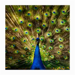 Peacock Bird Medium Glasses Cloth (2-side) by Simbadda