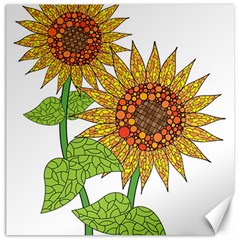 Sunflowers Flower Bloom Nature Canvas 20  X 20   by Simbadda