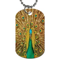 Peacock Bird Feathers Dog Tag (one Side) by Simbadda