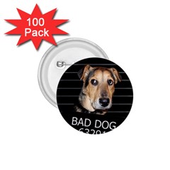 Bed Dog 1 75  Buttons (100 Pack)  by Valentinaart