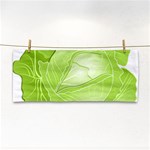 Cabbage Leaf Vegetable Green Cosmetic Storage Cases Front