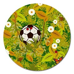 Ball On Forest Floor Magnet 5  (round) by linceazul