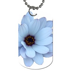 Daisy Flower Floral Plant Summer Dog Tag (one Side) by Nexatart