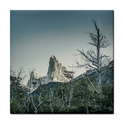 Fitz Roy Mountain, El Chalten Patagonia   Argentina Tile Coasters by dflcprints