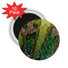 Chameleon Skin Texture 2 25  Magnets (10 Pack)  by BangZart