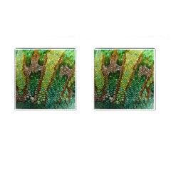 Chameleon Skin Texture Cufflinks (square) by BangZart