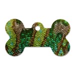 Chameleon Skin Texture Dog Tag Bone (One Side) Front