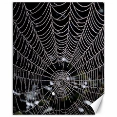 Spider Web Wallpaper 14 Canvas 11  X 14   by BangZart