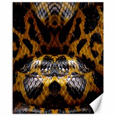 Textures Snake Skin Patterns Canvas 11  X 14   by BangZart