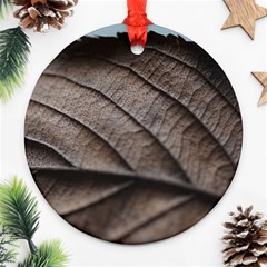 Leaf Veins Nerves Macro Closeup Ornament (round) by BangZart