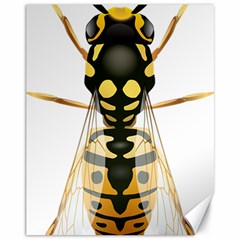 Wasp Canvas 11  X 14   by BangZart