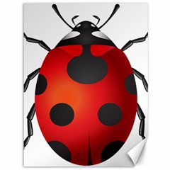 Ladybug Insects Canvas 36  X 48   by BangZart