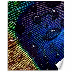 Peacock Feather Retina Mac Canvas 11  X 14   by BangZart