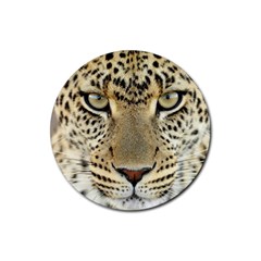 Leopard Face Rubber Coaster (round)  by BangZart