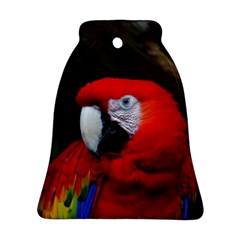 Scarlet Macaw Bird Ornament (bell) by BangZart