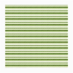 Spring Stripes Medium Glasses Cloth by designworld65