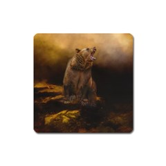 Roaring Grizzly Bear Square Magnet by gatterwe