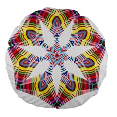 Colorful Chromatic Psychedelic Large 18  Premium Flano Round Cushions by Nexatart