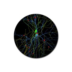 Synaptic Connections Between Pyramida Neurons And Gabaergic Interneurons Were Labeled Biotin During Rubber Coaster (round)  by Mariart