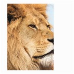 Big male lion looking right Large Garden Flag (Two Sides) Front