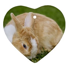 Beautiful Blue Eyed Bunny On Green Grass Heart Ornament (two Sides) by Ucco