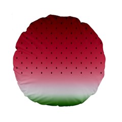 Watermelon Standard 15  Premium Flano Round Cushions by jumpercat