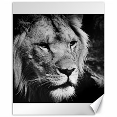 Africa Lion Male Closeup Macro Canvas 11  X 14   by BangZart