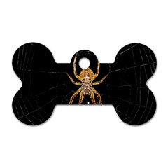 Insect Macro Spider Colombia Dog Tag Bone (two Sides) by BangZart