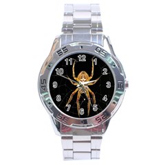 Insect Macro Spider Colombia Stainless Steel Analogue Watch by BangZart