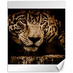 Jaguar Water Stalking Eyes Canvas 11  x 14   10.95 x13.48  Canvas - 1