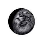 Feline Lion Tawny African Zoo Rubber Round Coaster (4 pack)  Front