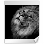 Feline Lion Tawny African Zoo Canvas 11  x 14   10.95 x13.48  Canvas - 1