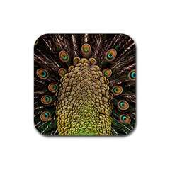 Peacock Feathers Wheel Plumage Rubber Coaster (square)  by BangZart