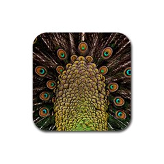 Peacock Feathers Wheel Plumage Rubber Square Coaster (4 Pack)  by BangZart