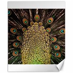 Peacock Feathers Wheel Plumage Canvas 11  X 14   by BangZart